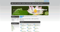 Desktop Screenshot of maximizeontheweb.com